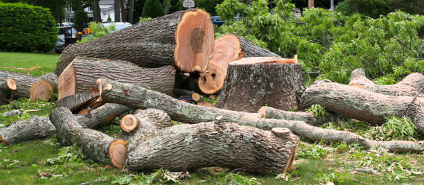  Reamstown, PA Tree Care Pros